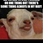 i see things through!!! | ME TRYING TO STAY FOCUSED ON ONE THING BUT THERE'S SOME THING ALWAYS IN MY WAY! | image tagged in drunk goat,the goat | made w/ Imgflip meme maker