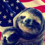 Patriotic sloths
