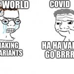 2020 - 2022 | COVID; THE WORLD; HA HA VARIANTS GO BRRRRRRR; STOP MAKING COVID VARIANTS | image tagged in haha brrrrrrr | made w/ Imgflip meme maker