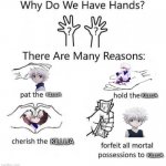 Why Do We Have Hands | KILLUA; KILLUA; KILLUA; KILLUA | image tagged in why do we have hands,killua,hxh,hunter x hunter | made w/ Imgflip meme maker