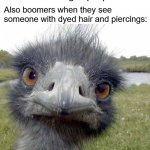Once again, it's rude to stare | Boomers: Staring at people is rude; Also boomers when they see someone with dyed hair and piercings: | image tagged in cold stare of ostrich,baby boomers,ok boomer | made w/ Imgflip meme maker
