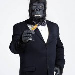 gorilla suit