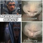 Sadness | Do you promise not to cry? | image tagged in i promise i won't cry,ahsoka | made w/ Imgflip meme maker
