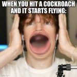 Flamingo surprised | WHEN YOU HIT A COCKROACH AND IT STARTS FLYING: | image tagged in flamingo surprised | made w/ Imgflip meme maker