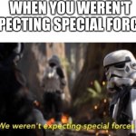 Haha anti-meme | WHEN YOU WEREN'T EXPECTING SPECIAL FORCES: | image tagged in we weren't expecting special forces,antimeme | made w/ Imgflip meme maker