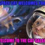 WELCOME | SPACE CAT WELCOMES YOU; WELCOME TO THE CAT GALAXY | image tagged in space cats | made w/ Imgflip meme maker