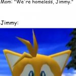 Poor Jimmy.... | Jimmy: "Can we have ice cream for dessert, Mom?"; Mom: "We're homeless, Jimmy."; Jimmy: | image tagged in dreamcast tails,tails,ice cream,mother and son,sonic,sonic the hedgehog | made w/ Imgflip meme maker