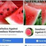 catholics vs seedless watermelons