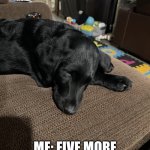 Sleep | MOM: WAKE UP SON! ME: FIVE MORE MINUTES LET ME SLEEP! | image tagged in let me sleep | made w/ Imgflip meme maker