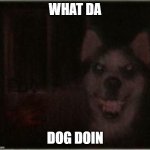 what da dog doin | WHAT DA; DOG DOIN | image tagged in smile dog | made w/ Imgflip meme maker