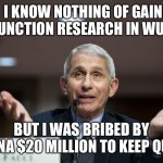 Lying Fauchi | I KNOW NOTHING OF GAIN OF FUNCTION RESEARCH IN WUHAN; BUT I WAS BRIBED BY CHINA $20 MILLION TO KEEP QUIET | image tagged in dr fauci | made w/ Imgflip meme maker