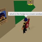 what in the fudge ice cream sundae