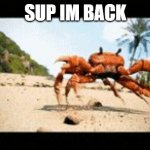 hi im back | SUP IM BACK | image tagged in crab rave,cool,hi,im back | made w/ Imgflip meme maker