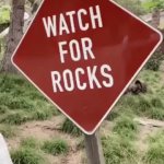 Watch for rocks | image tagged in gifs,the rock,memes | made w/ Imgflip video-to-gif maker