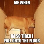 im to tired to do anything | ME WHEN; IM SO TIRED I FALL ONTO THE FLOOR | image tagged in the dog is stuck | made w/ Imgflip meme maker