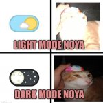 #cat | LIGHT MODE NOYA; DARK MODE NOYA | image tagged in light mode dark mode | made w/ Imgflip meme maker