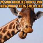 Did u fart? | I'M SURE GIRAFFES DON'T EVEN 
KNOW WHAT FARTS SMELL LIKE. | image tagged in comeback giraffe | made w/ Imgflip meme maker