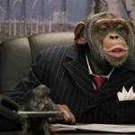 Business Chimp