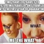 The What | TIME TRAVELER TRAVELS TO 2020. TIME TRAVELER: OH I TRAVELED INTO THE FIRST YEAR OF QUARANTINE. ME: THE WHAT | image tagged in the what | made w/ Imgflip meme maker