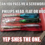 Screwdrivers | ME: CAN YOU PASS ME A SCREWDRIVER? HER: PHILIPS HEAD, FLAT OR VODKA? YEP SHES THE ONE. | image tagged in tools | made w/ Imgflip meme maker