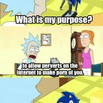 sonic what is my purpose