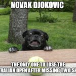 When you think the universe rotates around you because you can hit a little yellow ball. | NOVAK DJOKOVIC; THE ONLY ONE TO LOSE THE AUSTRALIAN OPEN AFTER MISSING TWO SHOTS. | image tagged in pug tennis ball,tennis australia,australian open,novak djokovic | made w/ Imgflip meme maker