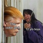 Color that pink for girls not boys | The color pink; 12 y/o boys | image tagged in donald trump here's donny,memes | made w/ Imgflip meme maker