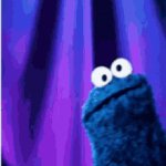 Kookie monster