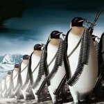 Penguins marching