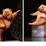 Dancing bear template