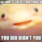 Just Friend talk | IT WOULD BE FUNNY IF YOU HIT YOUR CRUSH IN THE FACE; YOU DID DIDN'T YOU | image tagged in axolotl has been desturbed,axolotl,crush | made w/ Imgflip meme maker