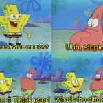 True story | Uhh, stupid? Hey Patrick, what am I now? No, I’m a Tiktok user! What’s the difference? | image tagged in hey patrick what am i now | made w/ Imgflip meme maker