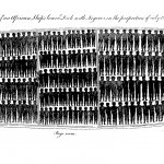 Plan of the Lower Deck of an African slave ship 1789