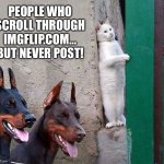 People Who Scroll Through Imgflip.com… But Never Post | PEOPLE WHO SCROLL THROUGH IMGFLIP.COM… BUT NEVER POST! | image tagged in hidden cat | made w/ Imgflip meme maker