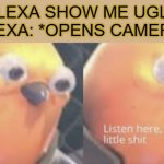 My computer she pointed the camera right at me O-o | ALEXA SHOW ME UGLY
ALEXA: *OPENS CAMERA*; ME: | image tagged in alexa,obama no listen,radiation zombie week,christian bale with axe,godzilla,raydog for president | made w/ Imgflip meme maker