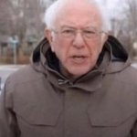 Bernie