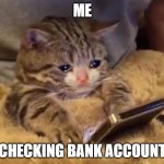 Bank account | ME CHECKING BANK ACCOUNT | image tagged in sad cat phone | made w/ Imgflip meme maker