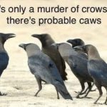 It’s only a murder of crows if there’s probable caws meme