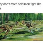 Why don’t more bald men fight like this