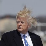 Trump hair squint funny humor silly moron