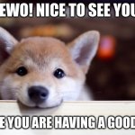 Hewo! | HEWO! NICE TO SEE YOU. I HOPE YOU ARE HAVING A GOOD DAY. | image tagged in cute dog,puppy love | made w/ Imgflip meme maker