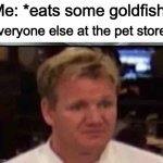 inspirational title | Me: *eats some goldfish*; Everyone else at the pet store: | image tagged in wtf gordon ramsey,pets | made w/ Imgflip meme maker