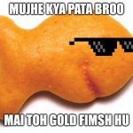 gold fish | MUJHE KYA PATA BROO; MAI TOH GOLD FIMSH HU | image tagged in gold fish | made w/ Imgflip meme maker