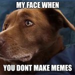 memes top notch | MY FACE WHEN; YOU DONT MAKE MEMES | image tagged in doggo sad | made w/ Imgflip meme maker