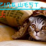 Blazing_West temp 2 meme