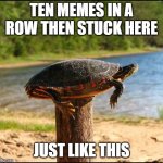 ten meme rules | TEN MEMES IN A ROW THEN STUCK HERE; JUST LIKE THIS | image tagged in post turtle | made w/ Imgflip meme maker