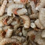Alabama shrimp