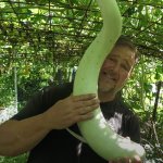 Oh my gourd