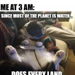 Continent or Island? | NOBODY:; ME AT 3 AM:; SINCE MOST OF THE PLANET IS WATER... DOES EVERY LAND COUNT AS AN ISLAND? | image tagged in snes cat,memes,planet,water,island,deep thoughts | made w/ Imgflip meme maker