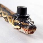 Snek with hat meme